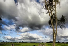 澳洲篮球联赛收官，悉尼冠军赛大胜领先