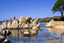 挪威战胜白俄罗斯，实现反弹