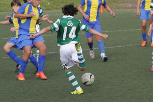 斯洛伐克队险胜芬兰,杀入强 第1张